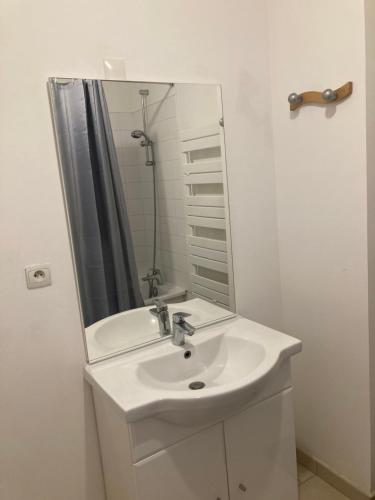 een badkamer met een witte wastafel en een spiegel bij Les Mouettes au Vert in Sangatte