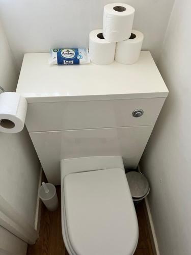 a bathroom with a toilet and three rolls of toilet paper at Cosy London bedroom near Oval Station - shared bathroom in London