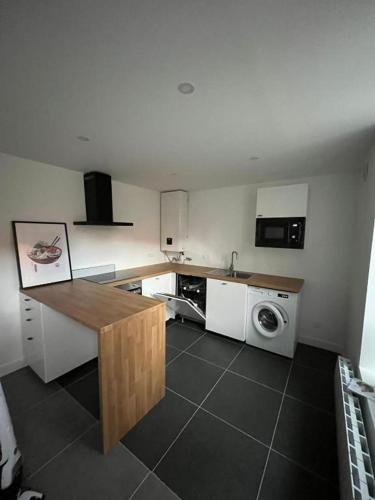 a kitchen with a sink and a washing machine at Maisonnette Numero 7 in Lille