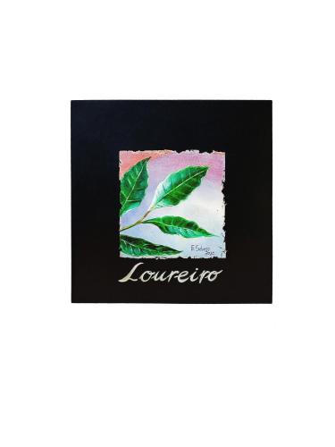 a picture of a green leaf on a black background at Villaprado in Cambados