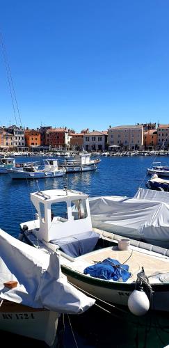 San Cristoforo Accommodations Rovinj - Garzotto