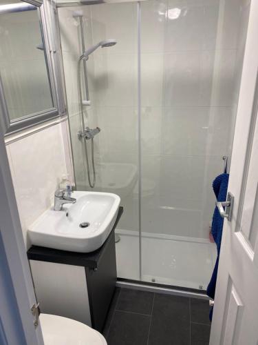 a bathroom with a shower and a sink and a toilet at Garden lodge in Allesley