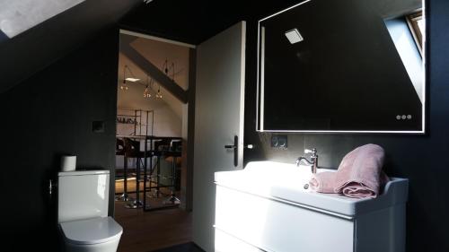 a bathroom with a sink and a toilet and a mirror at L 'étoile de Stella in Stella-Plage