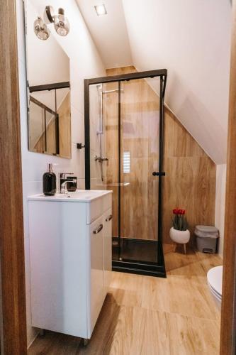 a bathroom with a shower and a sink at Stylove Domki Bańska Niżna Domki z Jacuzzi in Bańska Niżna