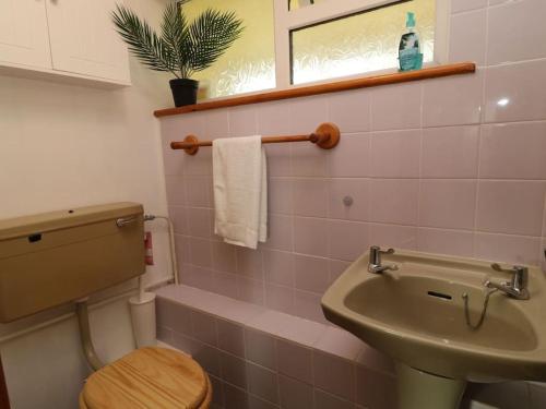 Gunnislake的住宿－Cheerful spacious 2 bedroom holiday home St Anns 12，一间带水槽和卫生间的浴室