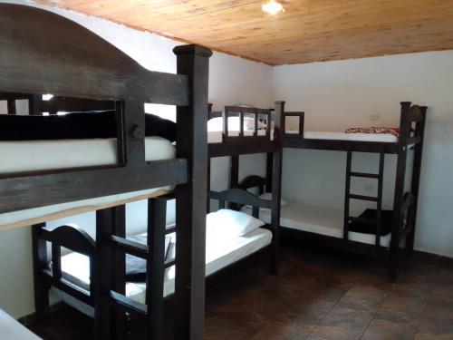 a group of bunk beds in a room at Hostal Hilltop Capurgana in Capurganá