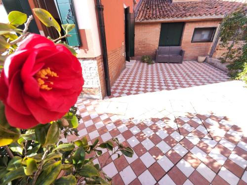 a red rose in front of a house at Ca' Mazzega in Murano