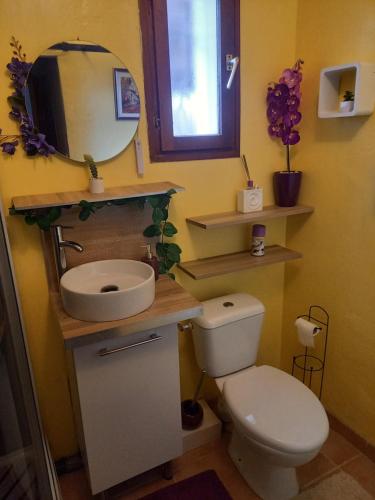 La salle de bains est pourvue de toilettes, d'un lavabo et d'un miroir. dans l'établissement Le violet, à Gaillac