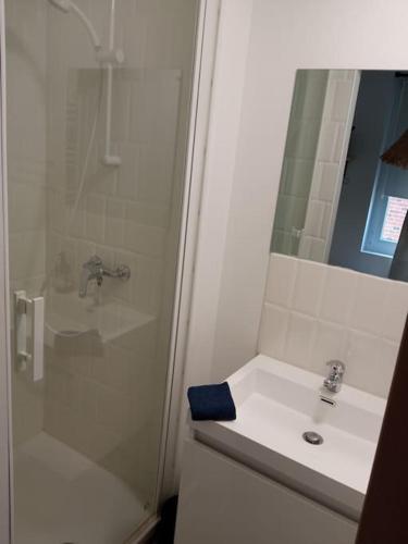 une salle de bain blanche avec une douche et un lavabo dans l'établissement Bienvenue chez vous, à Cormeilles