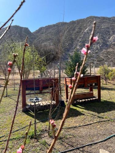CABAÑAS VILLA HUACO – Photos 5