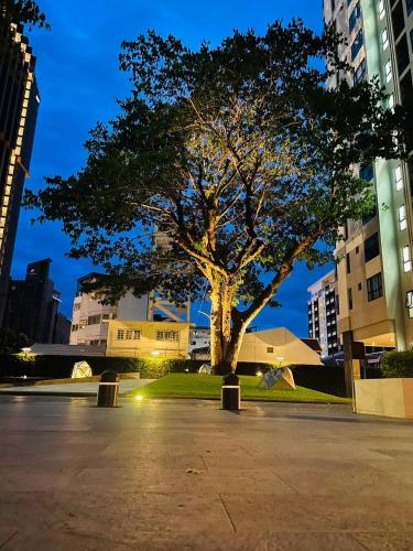 a tree in the middle of a city at night at The base Central Pattaya 631 by Numam in Pattaya Central