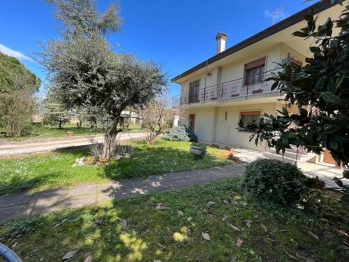 a house with a tree next to a street at B&B Airport Venice Diego in Tessera
