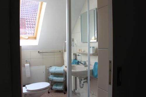 a bathroom with a toilet and a sink at Pension Stauber in Hohenburg