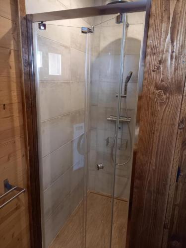 a shower with a glass door in a bathroom at Eco-Logis des Cabris in Font-Romeu