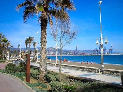 a beach with a palm tree and the ocean at AYALA APARTAMENTO in Málaga