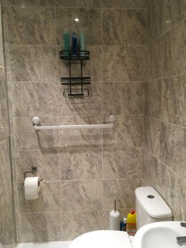 a bathroom with a shower with a toilet and a sink at Private One Bedroom Apartment in Slades Green