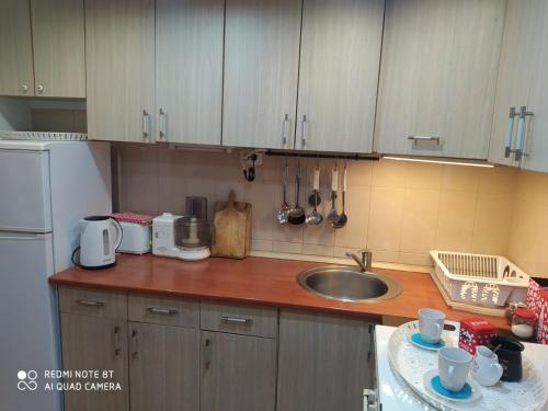 Dapur atau dapur kecil di KosMaj Dan Belgrade, Sopot