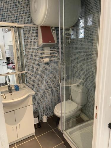 une salle de bain avec une douche, des toilettes et un lavabo dans l'établissement Chant Marin, à Villers-sur-Mer