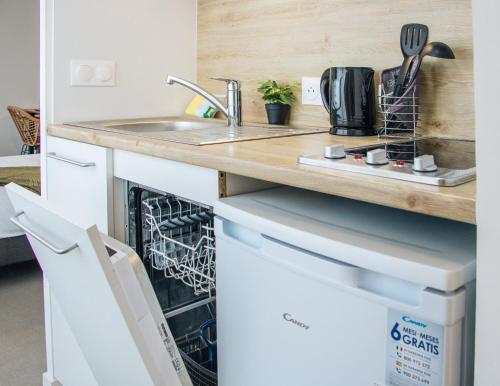 a kitchen with a sink and a dishwasher at Twenty Business Flats Asnières-sur-Seine in Asnières-sur-Seine