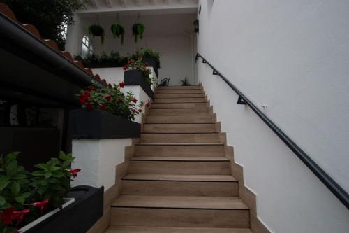 a set of stairs with potted plants on them at La Villa des Fleurs in Hendaye