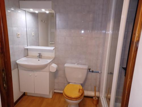 une salle de bain avec toilettes, lavabo et douche dans l'établissement Studio cosy avec parking couvert, balcon et vue montagne - FR-1-512-121, à Brides-les-Bains