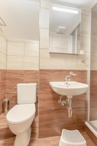 a bathroom with a toilet and a sink at Sagasserovy boudy U Dvou vleků in Pec pod Sněžkou