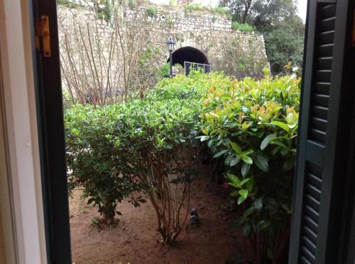 a window view of a garden with bushes and a tunnel at Siora Vittoria Boutique Hotel in Corfu Town