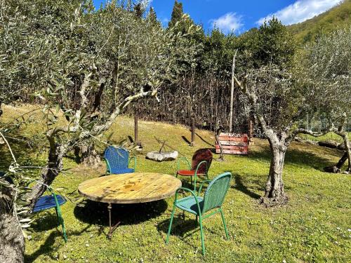 a table and chairs sitting in the grass near trees at La Sosta in Toscana in Camaiore