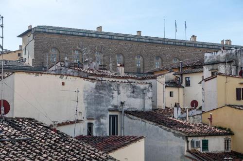 [View of Pitti Palace] Elegant Loft photo 19