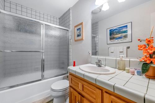 a bathroom with a sink and a toilet and a shower at Tree Top View Cabin in Felton