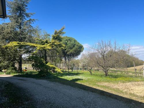 Taman di luar B&B Airport Venice Diego 2