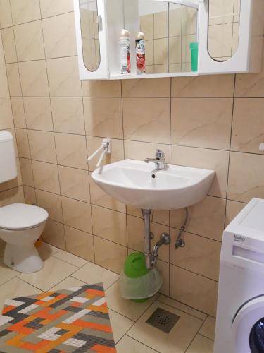 a bathroom with a sink and a toilet at Apartments Igor in Koper