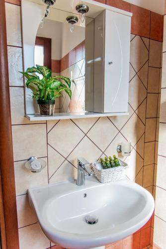 a bathroom sink with a mirror and a potted plant at Villa Cavo d' Oro in Korissia