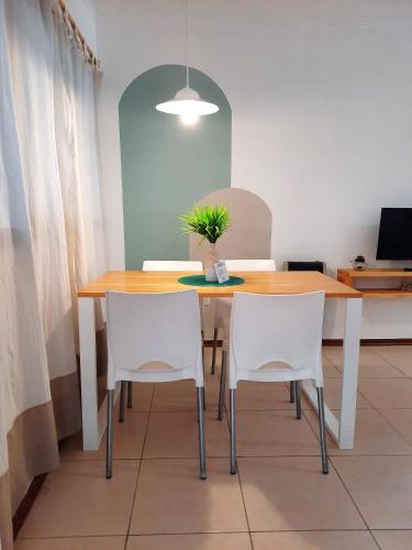 a dining room table and chairs with a plant on it at Departamentos René in Ciudad Lujan de Cuyo