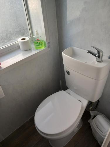 a bathroom with a toilet and a sink and a window at Saracens Head The Annex in Skegness