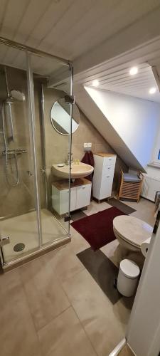 a bathroom with a shower and a toilet and a sink at charming oldtown city in Worms