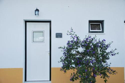 a door with a plant in front of it at Monte Ramos in Ferreira do Alentejo