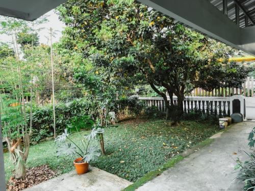 Vonkajšia záhrada v ubytovaní Rumah Daun Guest House