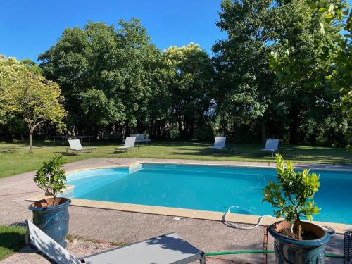 a swimming pool with two potted trees in a yard at Manoir du Bouyssou in Cintegabelle