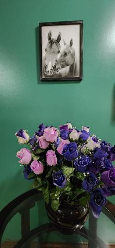 Quality Inn – Photos 4