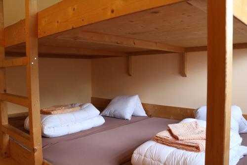 Adrenalin Backpackers Hostelにある二段ベッド