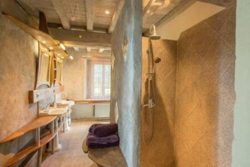 a bathroom with a shower and a sink at L'Etoile de Forges in Longmesnil