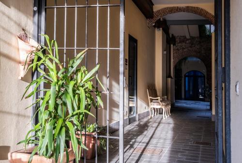 Gambar di galeri bagi Agave in Città di Livorno