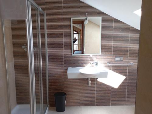 uma casa de banho com um lavatório e um chuveiro em Hotel San Martino em Pola de Lena