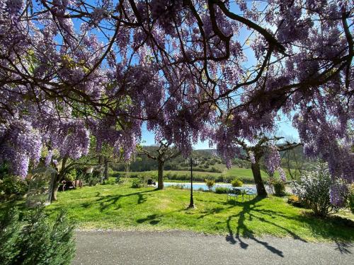 a park with purple trees and a body of water at LA CHAMBRE DU CANTOU in Lautrec