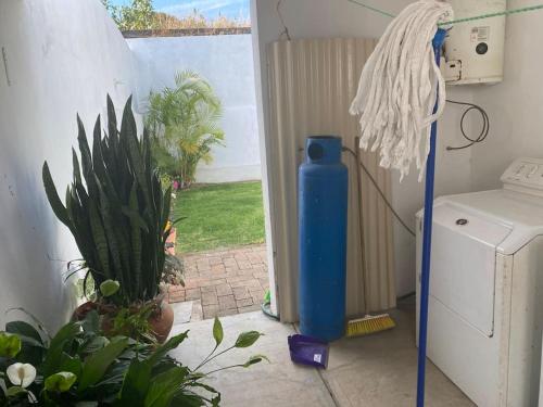 un chauffe-eau bleu dans une pièce avec une plante dans l'établissement Casa en la naturaleza, Colima, à Cuauhtémoc