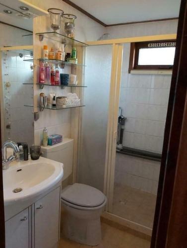 ein Badezimmer mit Toilette, Waschbecken und Dusche in der Unterkunft Hineni in Oostvoorne