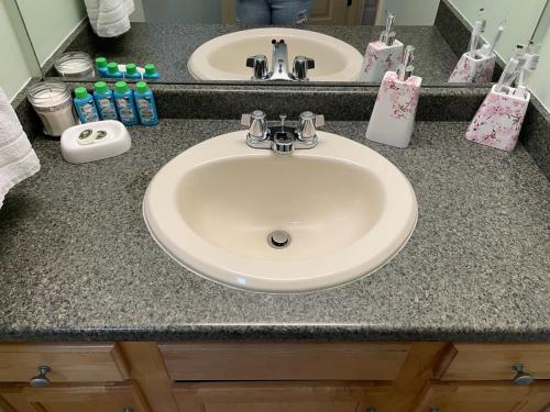 a bathroom counter with a sink with two sinksyss at Pershing Heights 103 in New Kensington