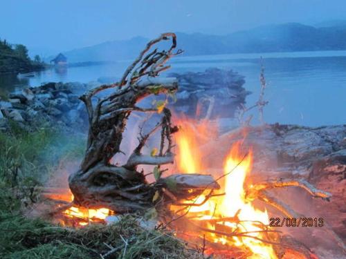a fire with a tree on top of it at Presthus Gård in Ølve