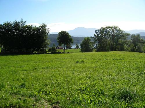 a field of green grass with trees in the background at Presthus Gård in Ølve